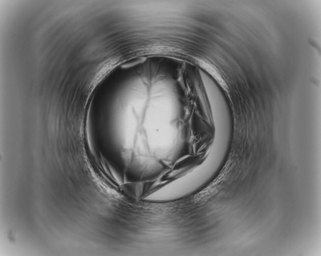 X0000096140946200802081345