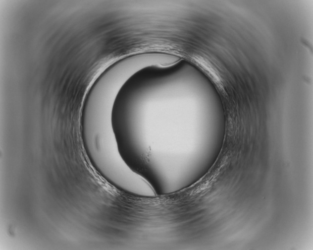 X0000096140948200802081345