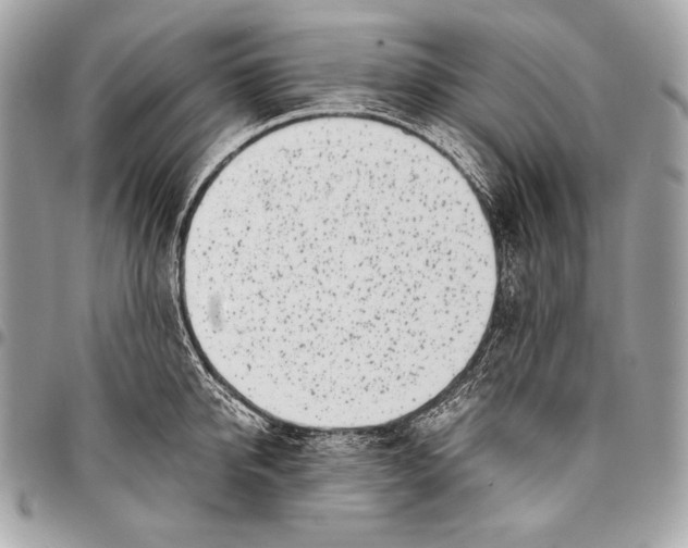 X0000096140950200802081345