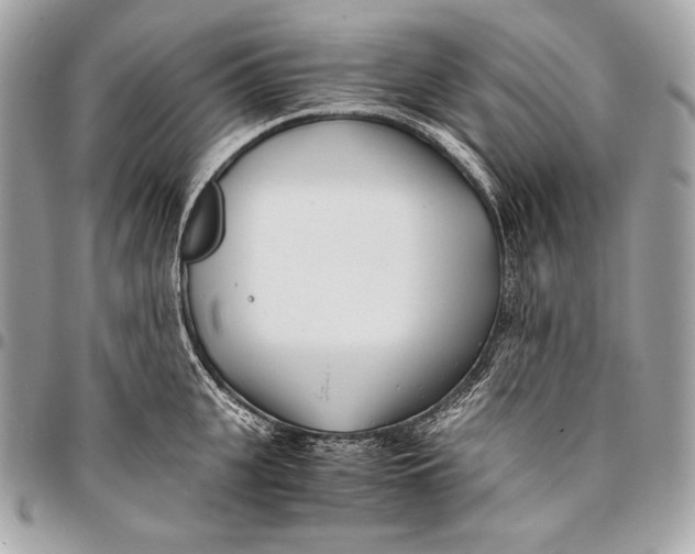 X0000096140951200802081345