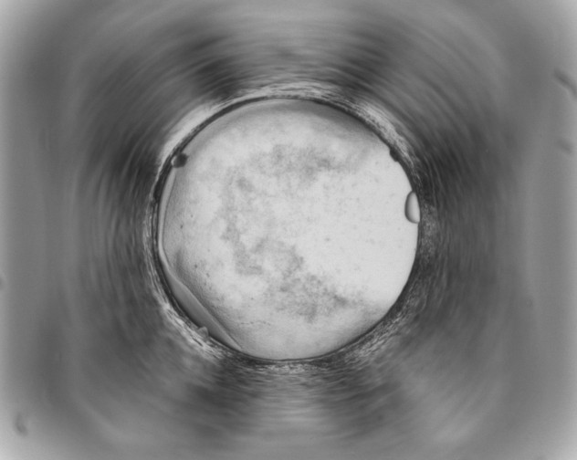 X0000096140952200802081345