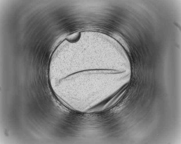 X0000096140954200802081345