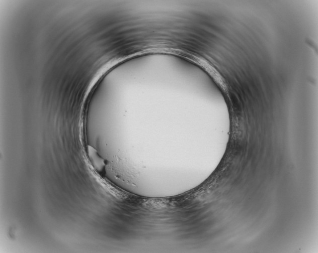 X0000096140955200802081345