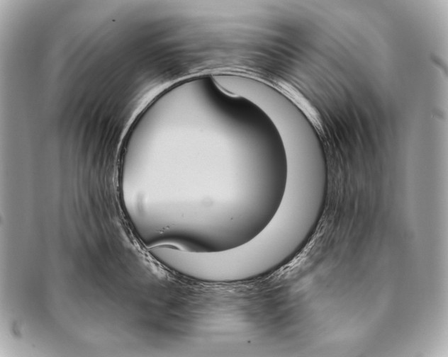 X0000096140956200802081345