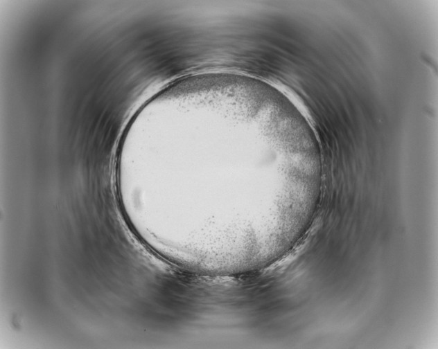 X0000096140957200802081345