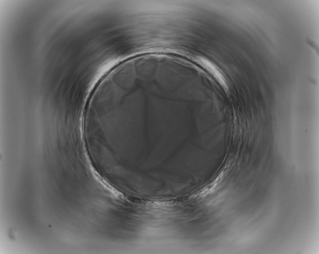 X0000096140958200802081345