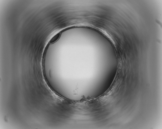 X0000096140959200802081345
