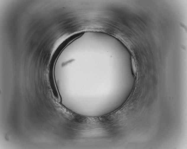 X0000096140960200802081345