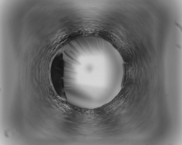 X0000096140961200802081344