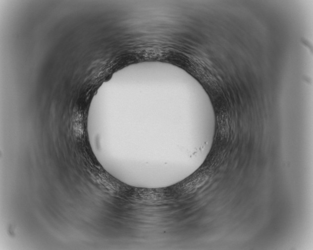 X0000096140962200802081344