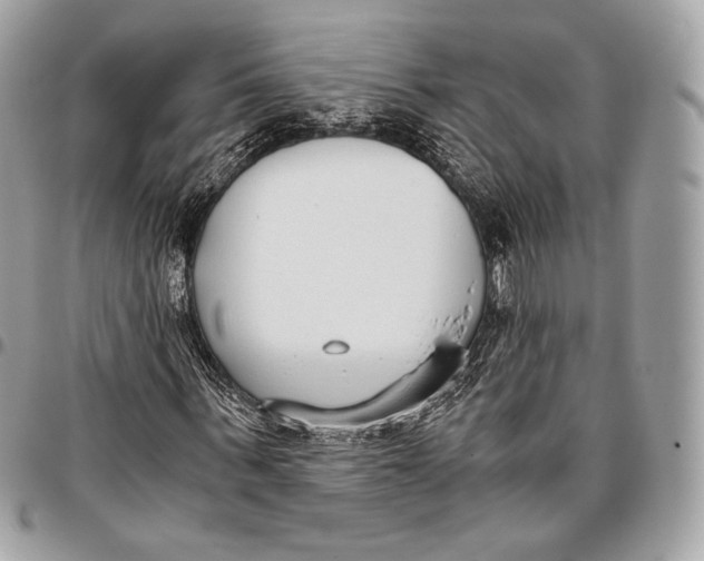X0000096140963200802081344