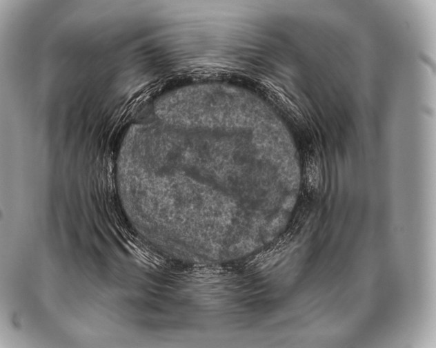 X0000096140964200802081344