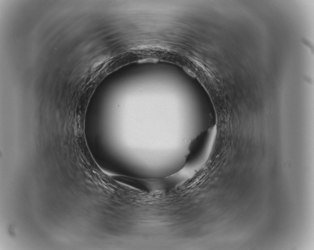 X0000096140965200802081344