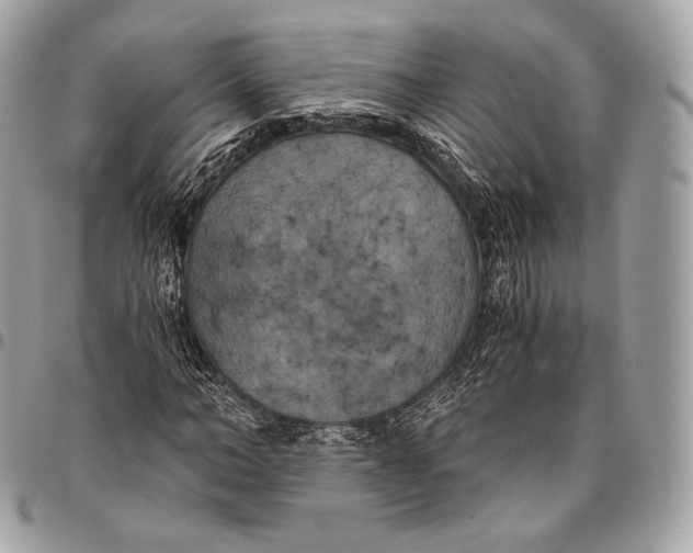 X0000096140966200802081344