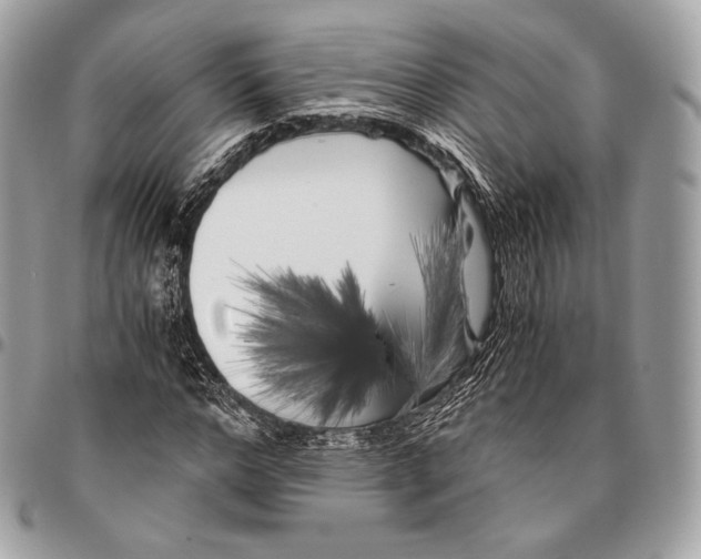 X0000096140968200802081344