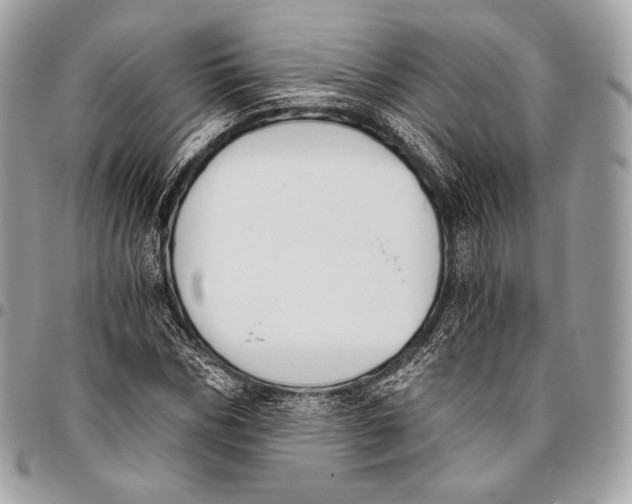 X0000096140970200802081344