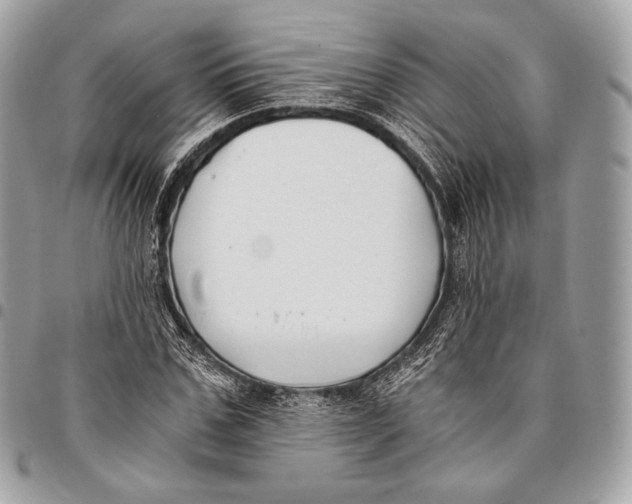 X0000096140971200802081344