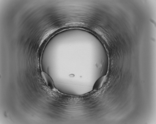 X0000096140973200802081344