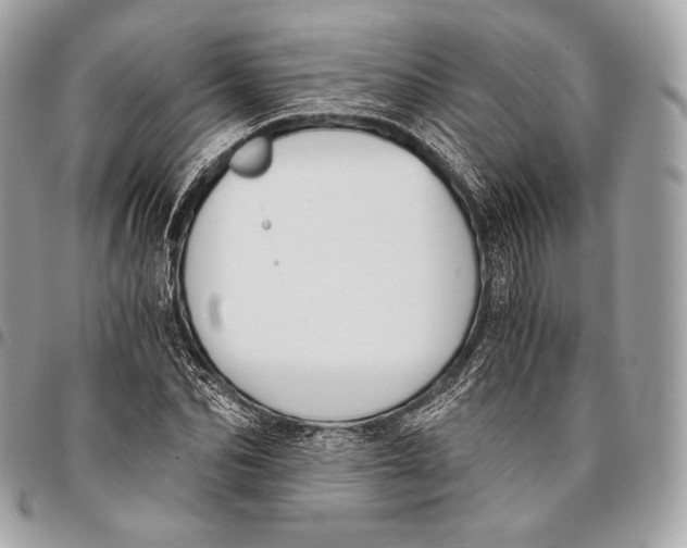 X0000096140974200802081344