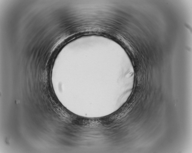 X0000096140975200802081344