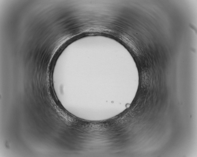 X0000096140976200802081344