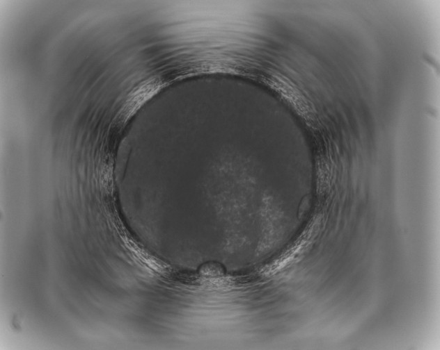 X0000096140977200802081344