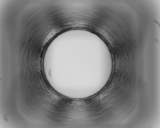 X0000096140978200802081344