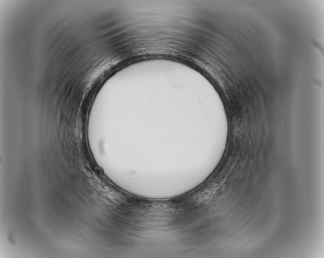 X0000096140979200802081344