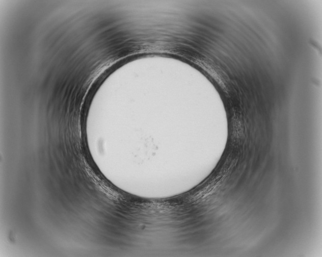 X0000096140980200802081344
