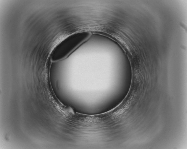 X0000096140981200802081344