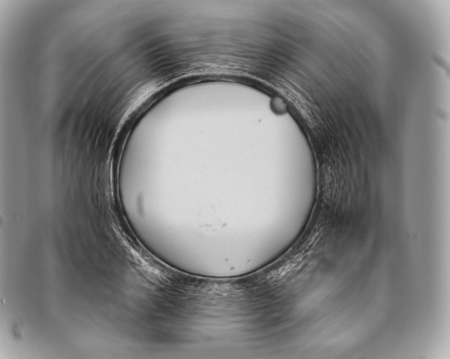 X0000096140982200802081344