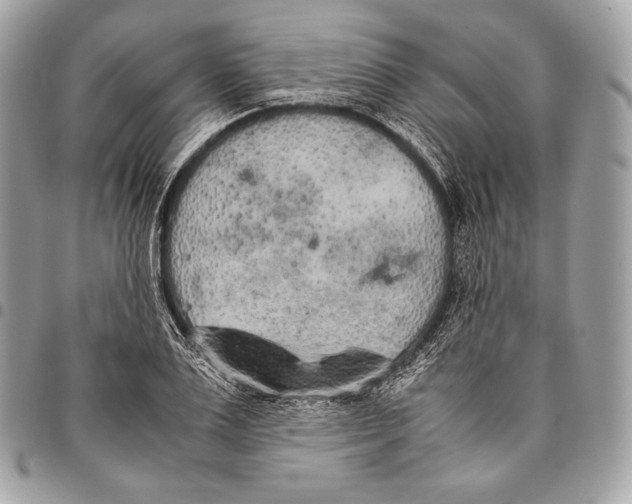 X0000096140983200802081344