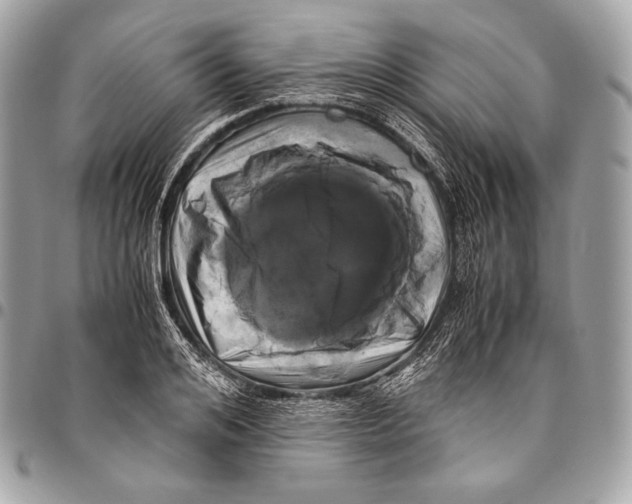 X0000096140984200802081344