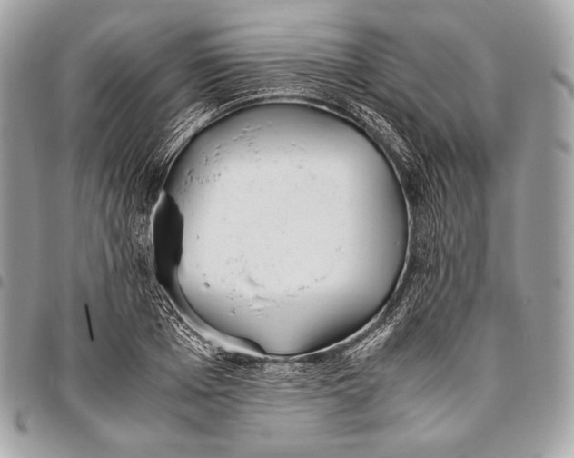 X0000096140985200802081344
