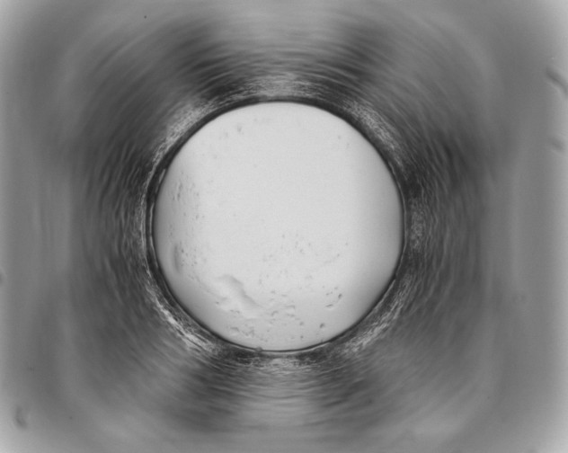 X0000096140986200802081344