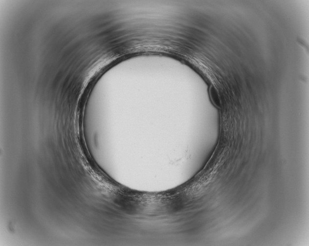 X0000096140987200802081344