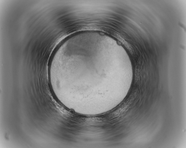 X0000096140988200802081344