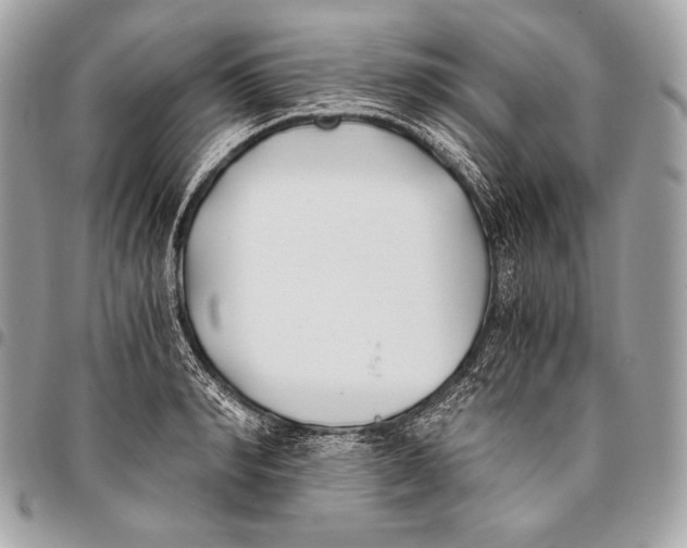 X0000096140990200802081344