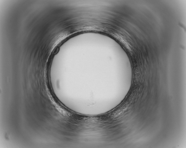 X0000096140991200802081344