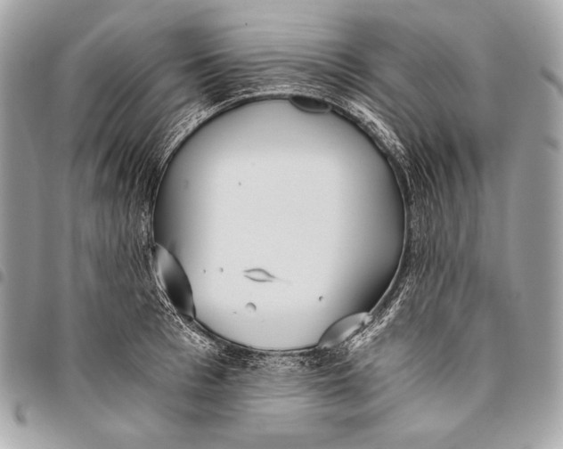 X0000096140993200802081344