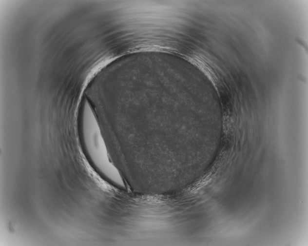 X0000096140995200802081344