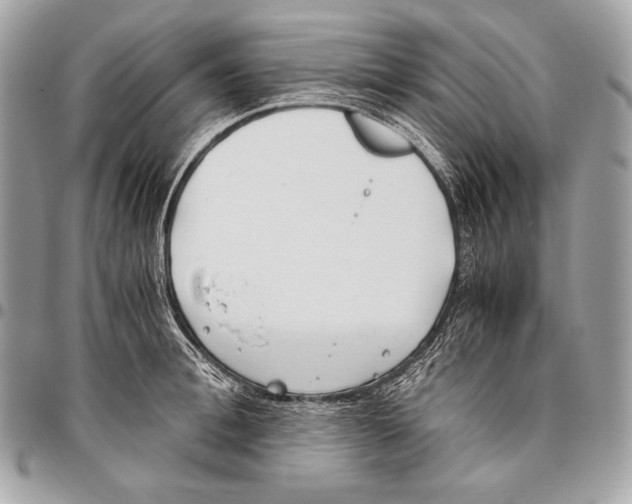 X0000096140996200802081344