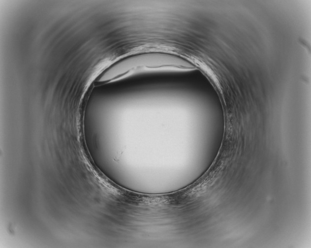 X0000096140997200802081344