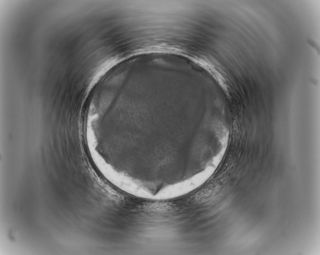 X0000096140998200802081344