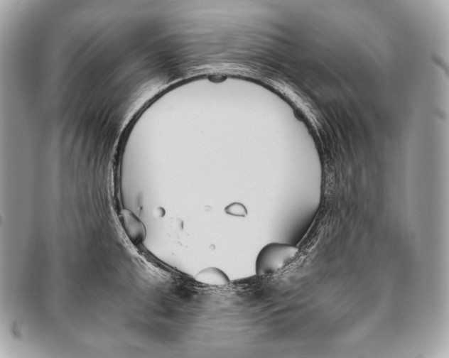 X0000096140999200802081344