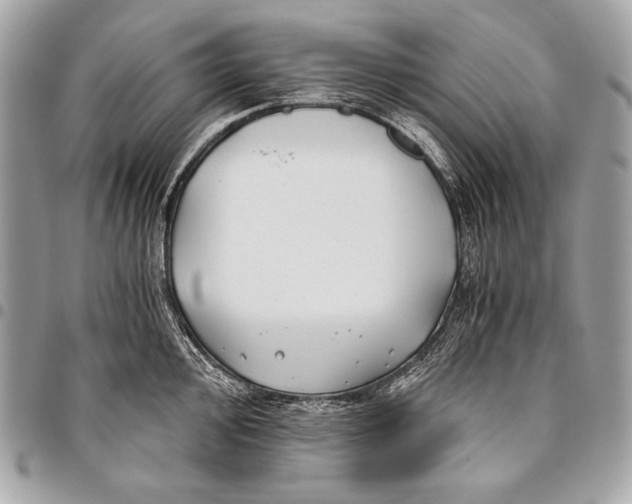 X0000096141000200802081344
