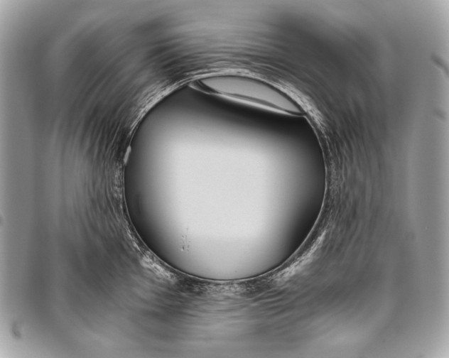 X0000096141001200802081344