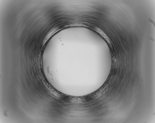 X0000096141002200802081344