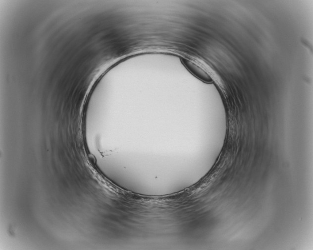 X0000096141004200802081344