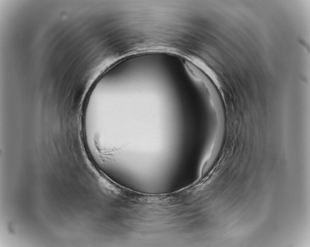 X0000096141005200802081344